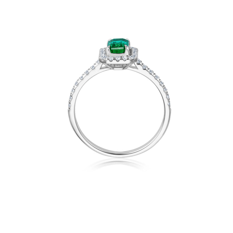 Diamond Halo Smaragd Ring - Weißgold